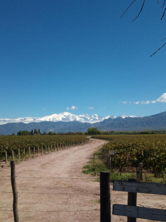 Loft Los Cerezos En Vistalba, Zona De Vinedos Y Bodegas Lujan de Cuyo Kültér fotó